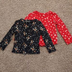 2 Shirt DEAL | LongSleeve Floral Shirts 2T